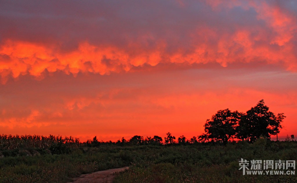 ����Ļ�����