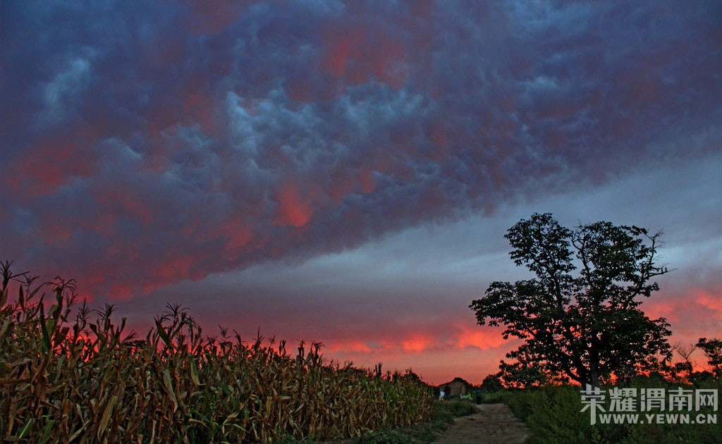 ����Ļ�����