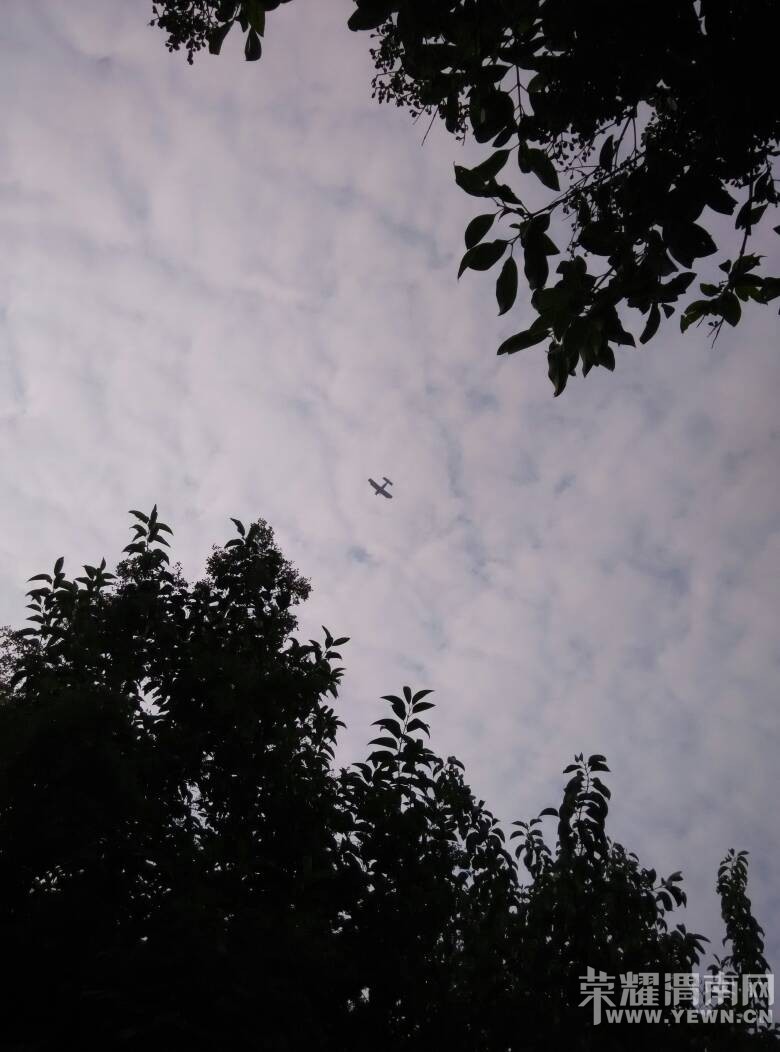 181212ln7sdu1n9g7dddsu.jpg