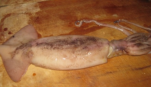 �����ļҳ��ˣ���������㣬���ĺóԣ���ѧ������