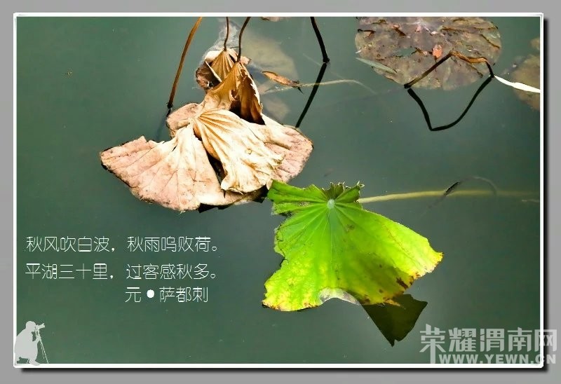 ��ӽ�кɡ�