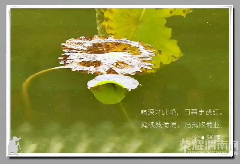 ��ӽ�кɡ�