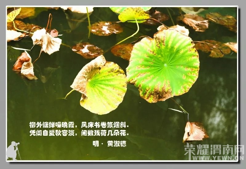 ��ӽ�кɡ�