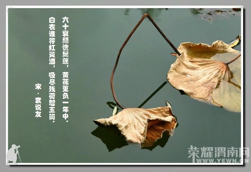 ��ӽ�кɡ�