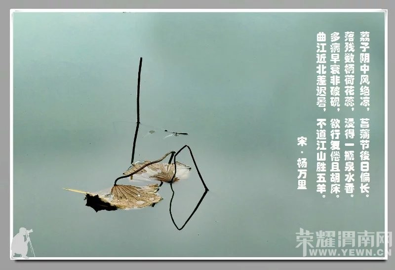 ��ӽ�кɡ�