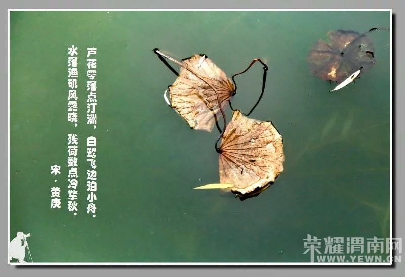 ��ӽ�кɡ�