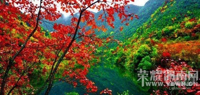 ���������˻������ˡ�10��5 6��2���� ���������ž����ι���������