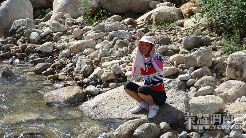 ����������