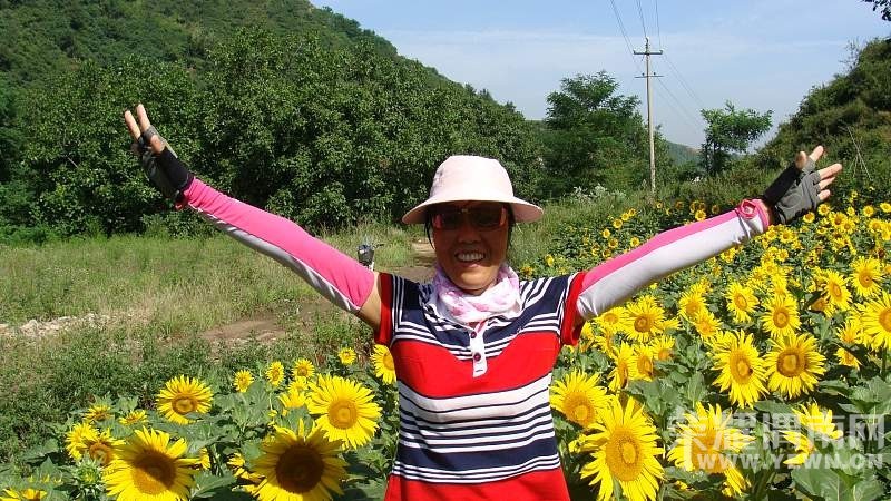 ����������