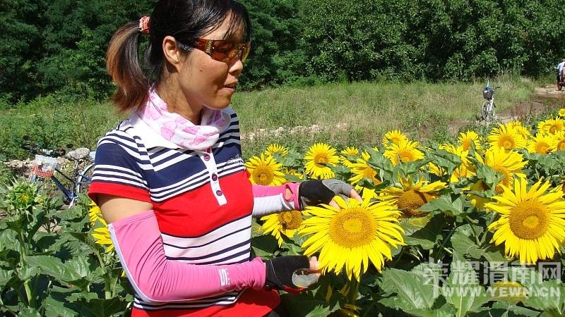 ����������