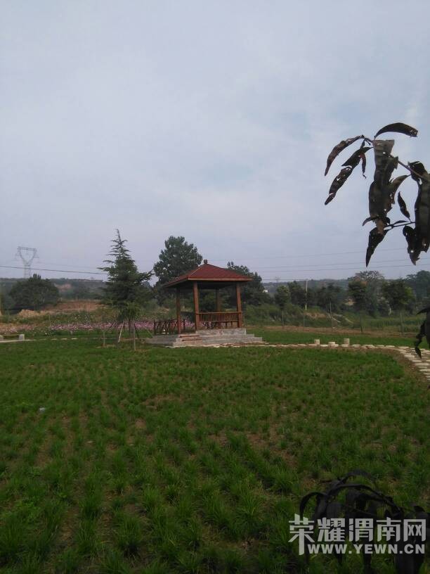 �ݳ�ȥ�ι�μ������ݡ�