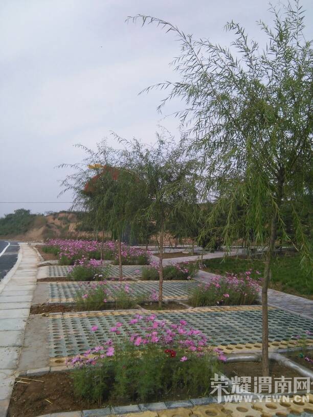 �ݳ�ȥ�ι�μ������ݡ�