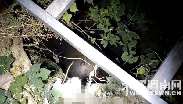 ʰ������׹��10����ݾ� μ����������ʩ��