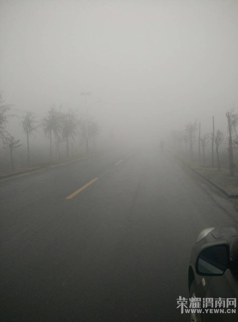 082640ixkk61izd185kdkk.jpg