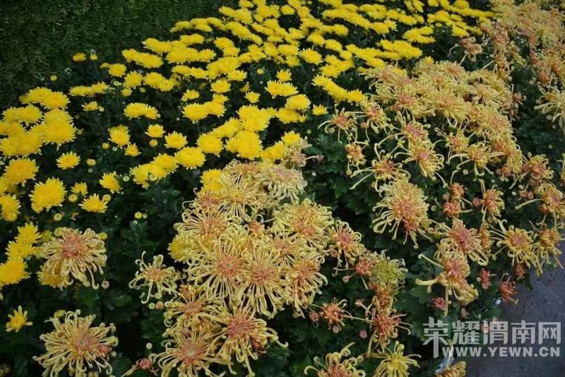 ��μ�Ͽ���ͬ�л��⡿10��11��ͭ���񻪹��ջ�չһ����