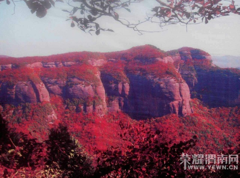 ��μ�Ͽ���ͬ�л��⡿10��11��ͭ���񻪹��ջ�չһ����