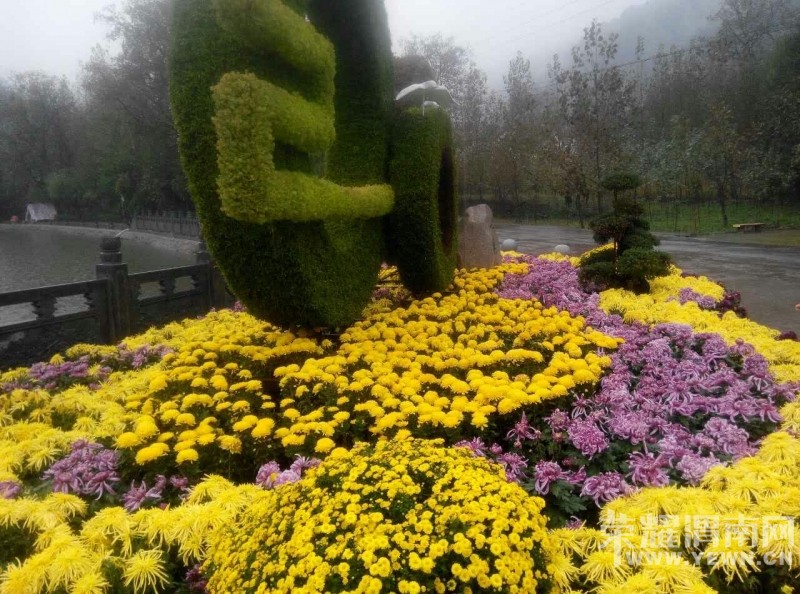 ��μ�Ͽ���ͬ�л��⡿10��11��ͭ���񻪹��ջ�չһ����