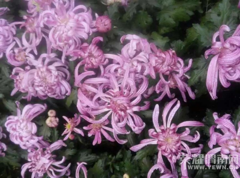 ��μ�Ͽ���ͬ�л��⡿10��11��ͭ���񻪹��ջ�չһ����