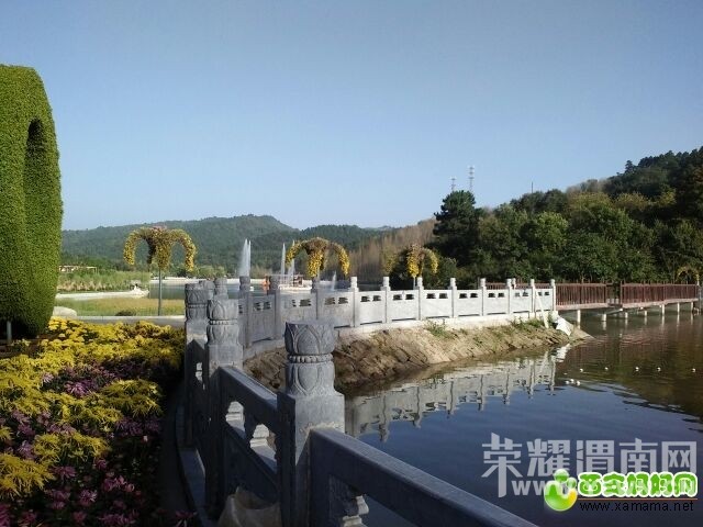 ��μ�Ͽ���ͬ�л��⡿10��11��ͭ���񻪹��ջ�չһ����