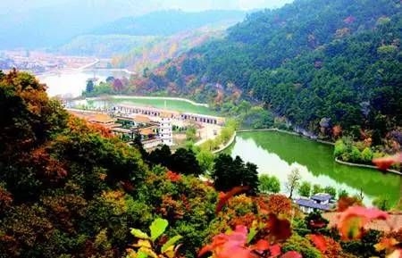 ��μ�Ͽ���ͬ�л��⡿10��11��ͭ���񻪹��ջ�չһ����