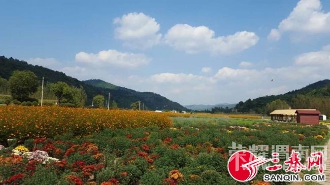 ��μ�Ͽ���ͬ�л��⡿10��11��ͭ���񻪹��ջ�չһ����