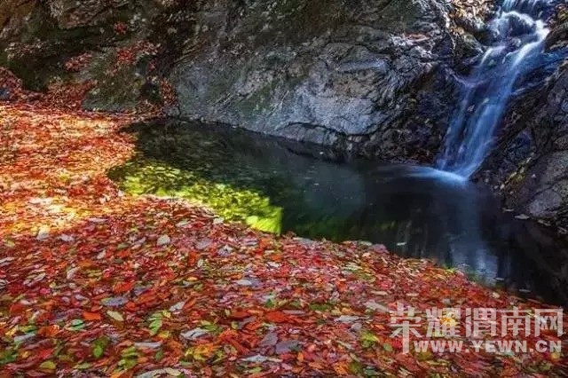 μ�ϡ�����ͬ�л��⡿10��17�պ����Ͼ�ɽ������Ҷ�Żݻ������