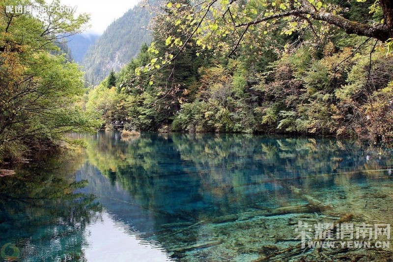 ��μ�Ͽ���ͬ�л��⡿�żҽ���������10����Ѯ����