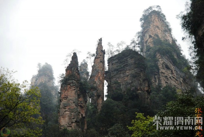 ��μ�Ͽ���ͬ�л��⡿�żҽ���������10����Ѯ����