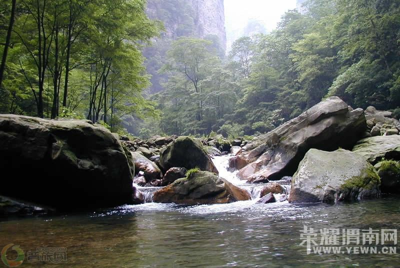 ��μ�Ͽ���ͬ�л��⡿�żҽ���������10����Ѯ����