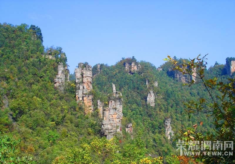 ��μ�Ͽ���ͬ�л��⡿�żҽ���������10����Ѯ����