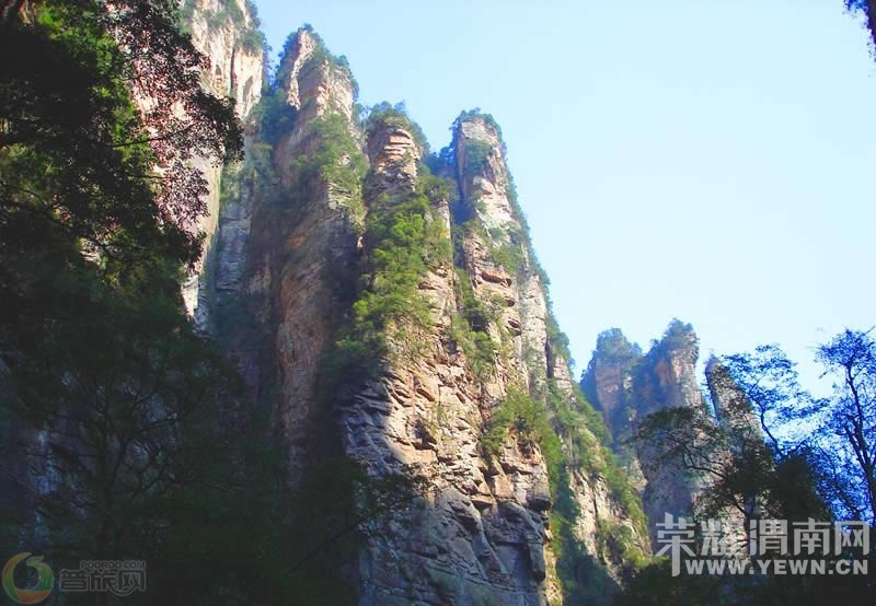 ��μ�Ͽ���ͬ�л��⡿�żҽ���������10����Ѯ����