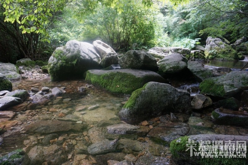 ��μ�Ͽ���ͬ�л��⡿�żҽ���������10����Ѯ����