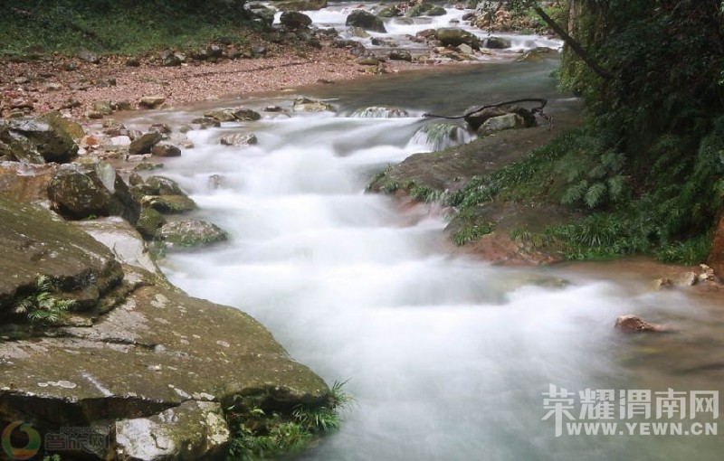 ��μ�Ͽ���ͬ�л��⡿�żҽ���������10����Ѯ����