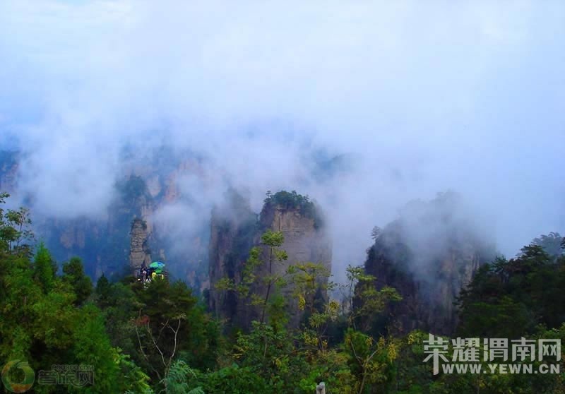 ��μ�Ͽ���ͬ�л��⡿�żҽ���������10����Ѯ����