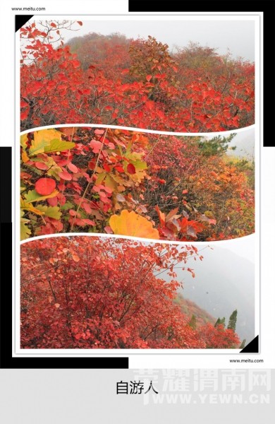 �������ˡ�10��17����������������ء���ƺ���ͺ�Ҷһ����