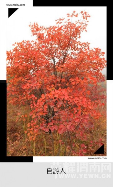 �������ˡ�10��17����������������ء���ƺ���ͺ�Ҷһ����