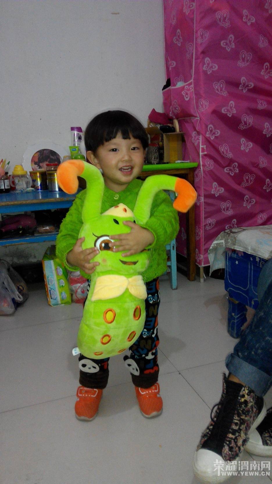 184226cxacc3hll9sjs53s.jpg