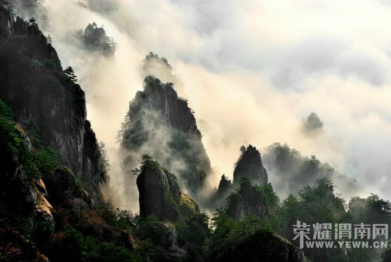 �������˻������˽���ʮ���Ͼ�ɽ�ۺ�Ҷ�ؼ���Ϯֻ��199