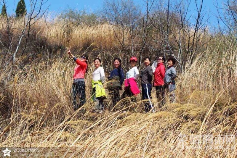 μ�ϡ�����ͬ�л��⡿���ֲ�10��18���ż�ɽ�ͺ�Ҷժ����������