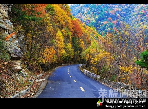 μ�ϡ�����ͬ�л��⡿���ֲ�10��18���ż�ɽ�ͺ�Ҷժ����������