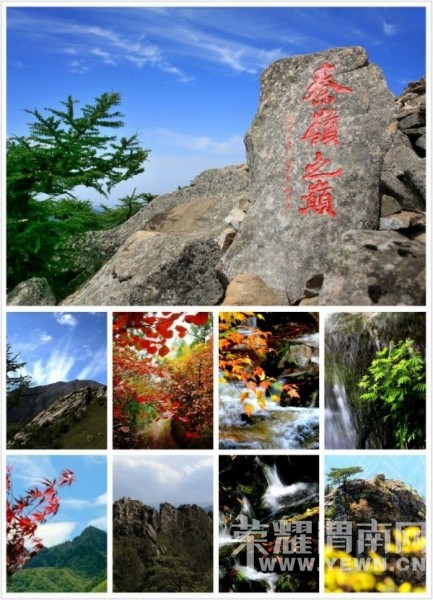 {�������˻�������}10��24 ��25����ȸɭ�ֹ�԰�� �ͺ�Ҷһ���Σ�����100Ԫ