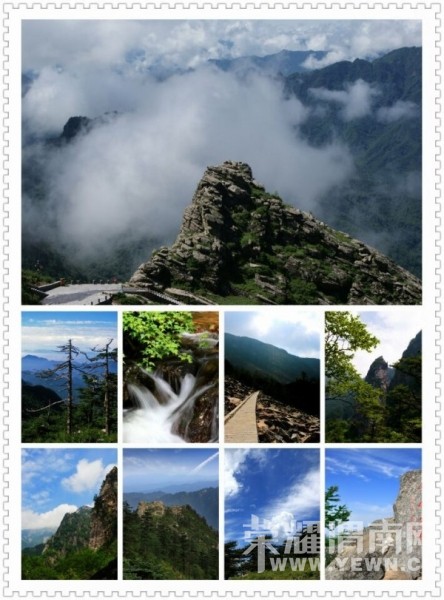 {�������˻�������}10��24 ��25����ȸɭ�ֹ�԰�� �ͺ�Ҷһ���Σ�����100Ԫ