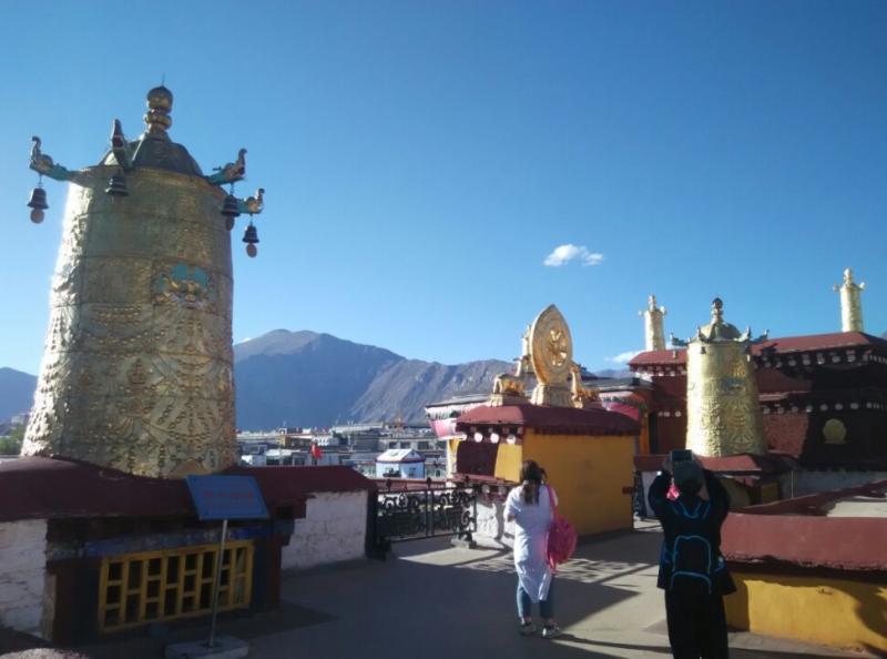 ��������¥