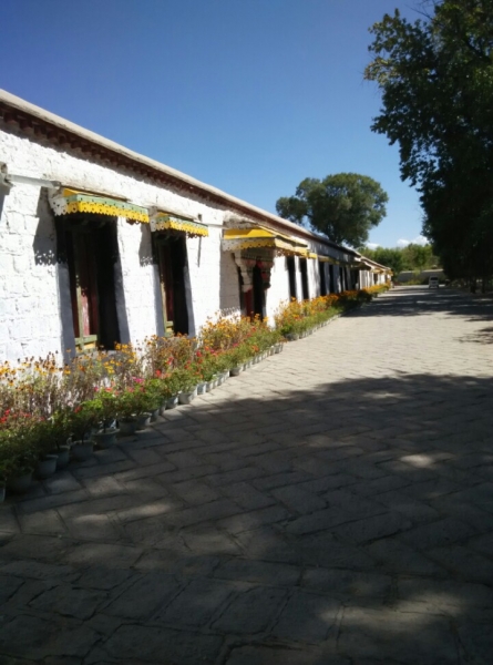 �޲��ֿ���С��