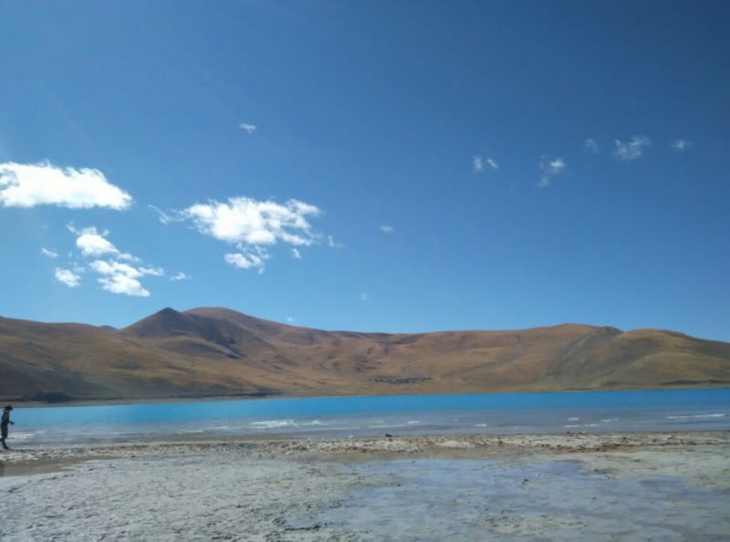 ����ʮһ�����Σ����ֻ����㡣��