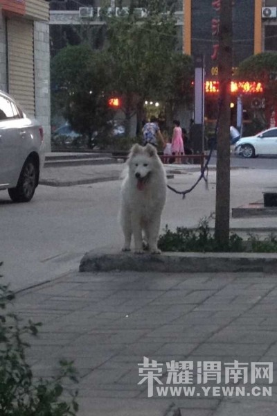 Ѱ��10��6�հ�ҹ�ڸ�������ʢ·��ţ�г���ʧ����Ħ����