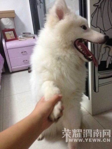 Ѱ��10��6�հ�ҹ�ڸ�������ʢ·��ţ�г���ʧ����Ħ����