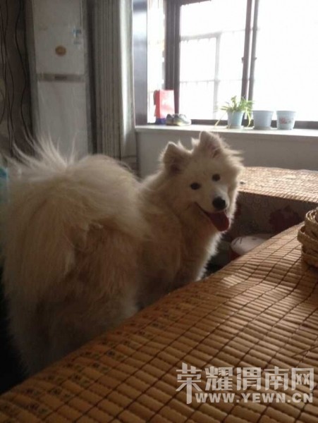 Ѱ��10��6�հ�ҹ�ڸ�������ʢ·��ţ�г���ʧ����Ħ����