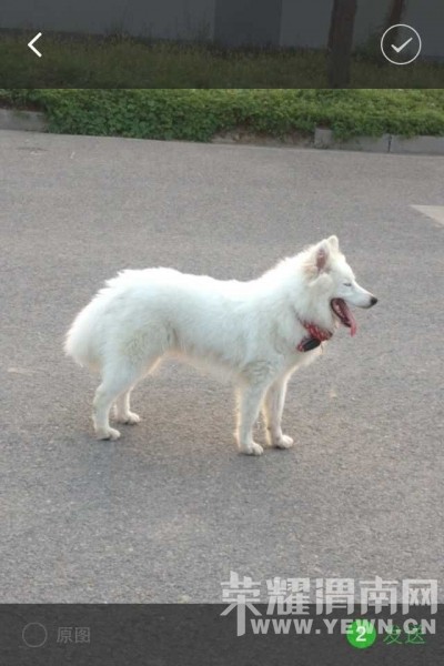 Ѱ��10��6�հ�ҹ�ڸ�������ʢ·��ţ�г���ʧ����Ħ����