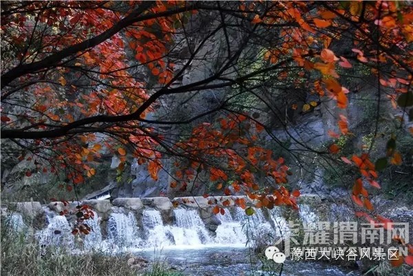 ԥ����Ͽ����ɫ����